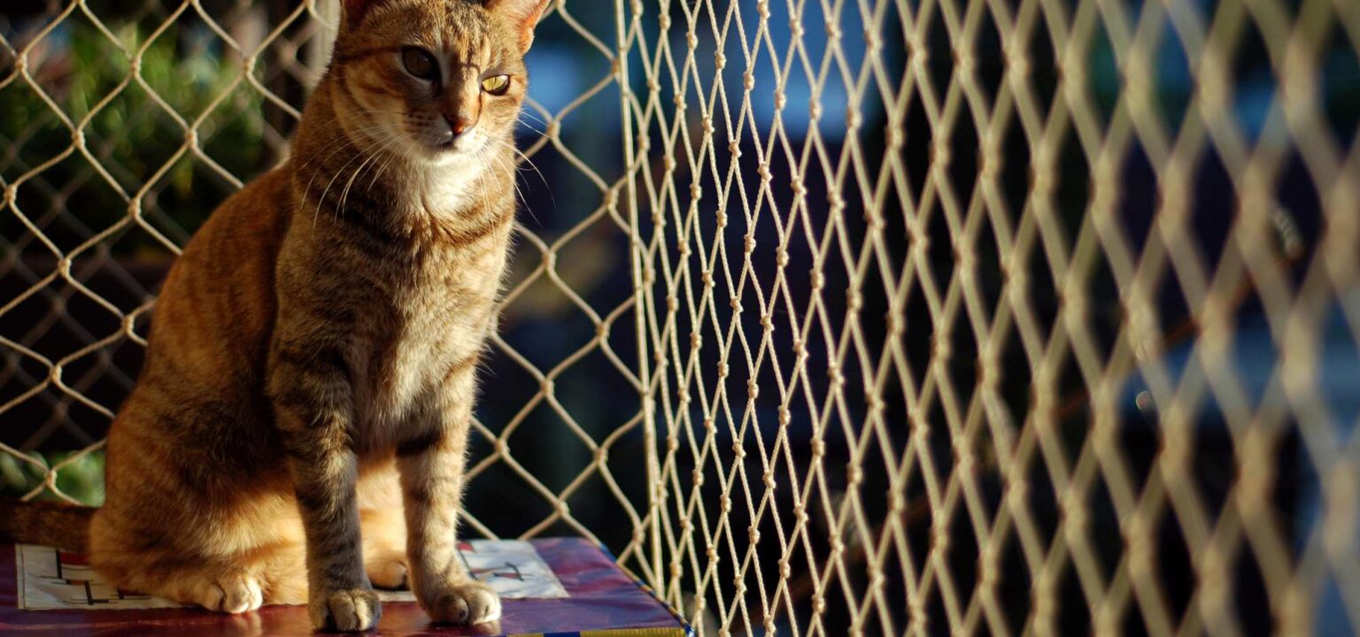 Pets Safety Nets