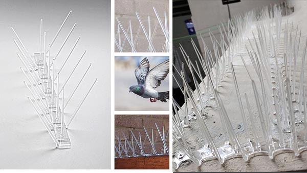 Bird Spikes