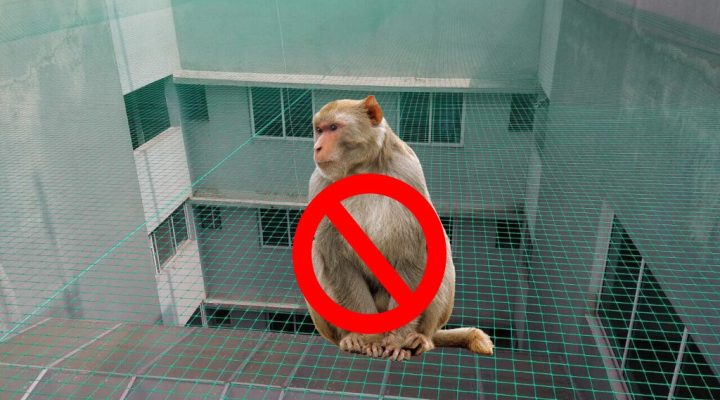Monkey Net for Balconies